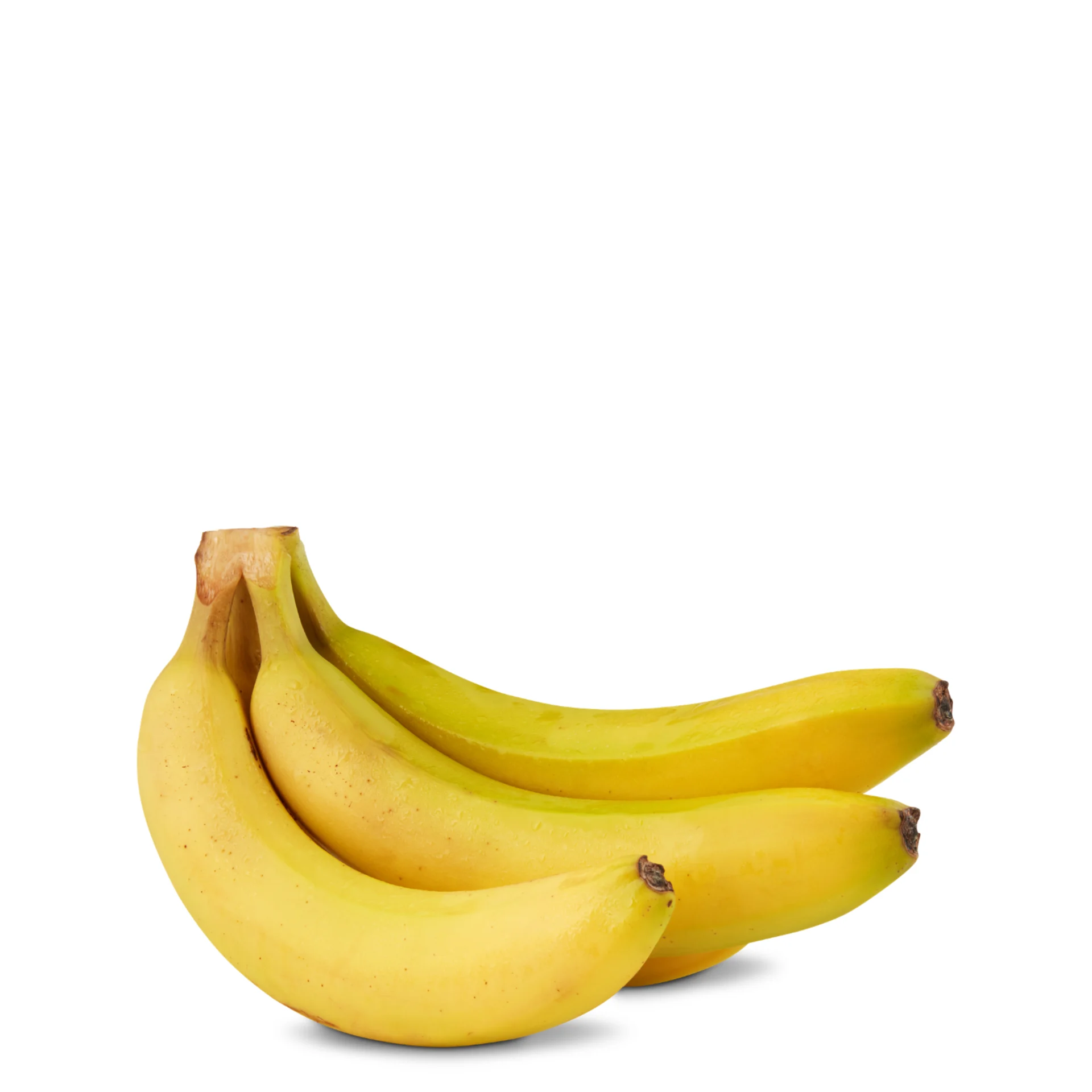 Une grappe de bananes jaunes mûres sur fond blanc, des fruits frais à déguster au quotidien ou à utiliser en cuisine.