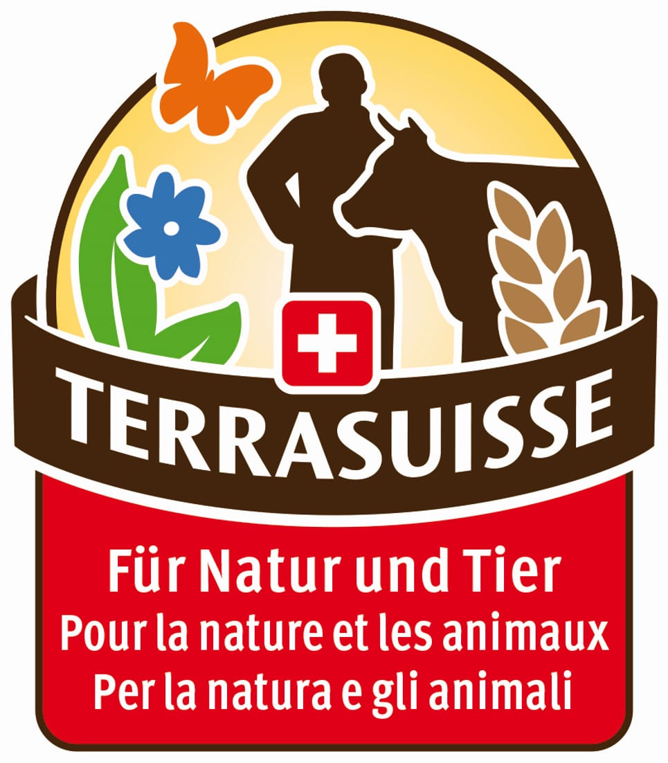 Aktuelles Logo (2019) 