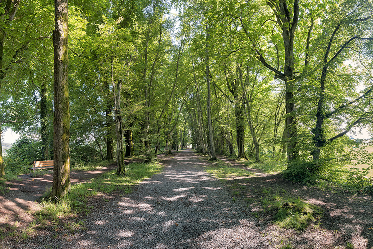 Zentralschweizer Ausflugstipp - Schlössliwald Beromünster