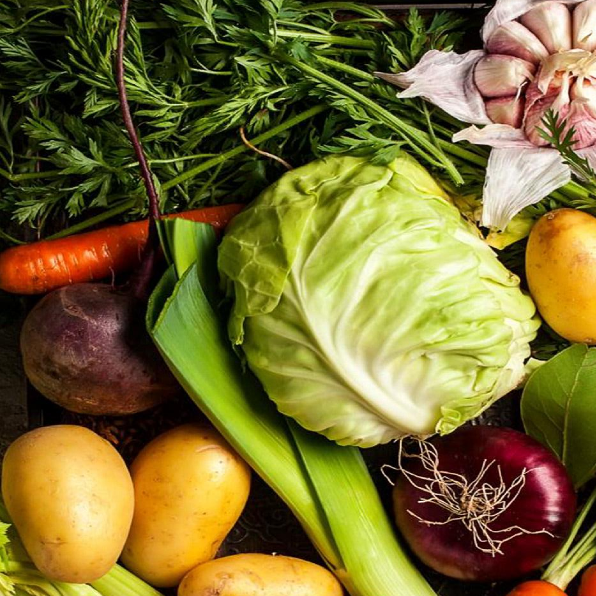 Varie verdure fresche