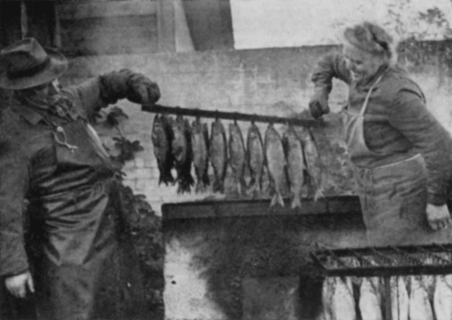 3_BB_1958_11_07_Fischer_r_uchern