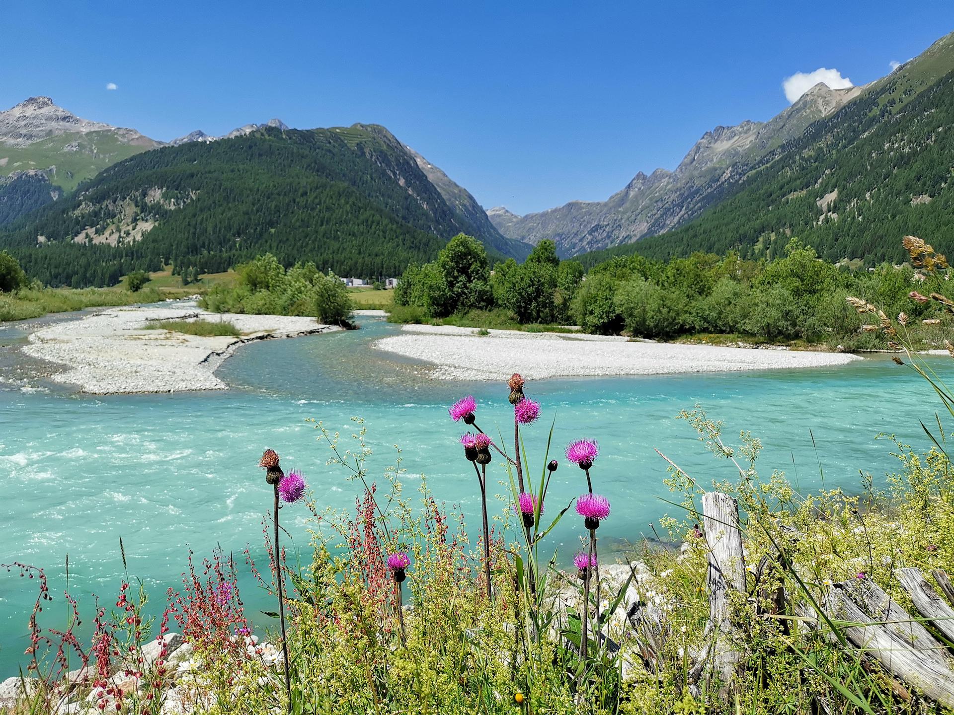 Les zones alluviales de la rivière Inn