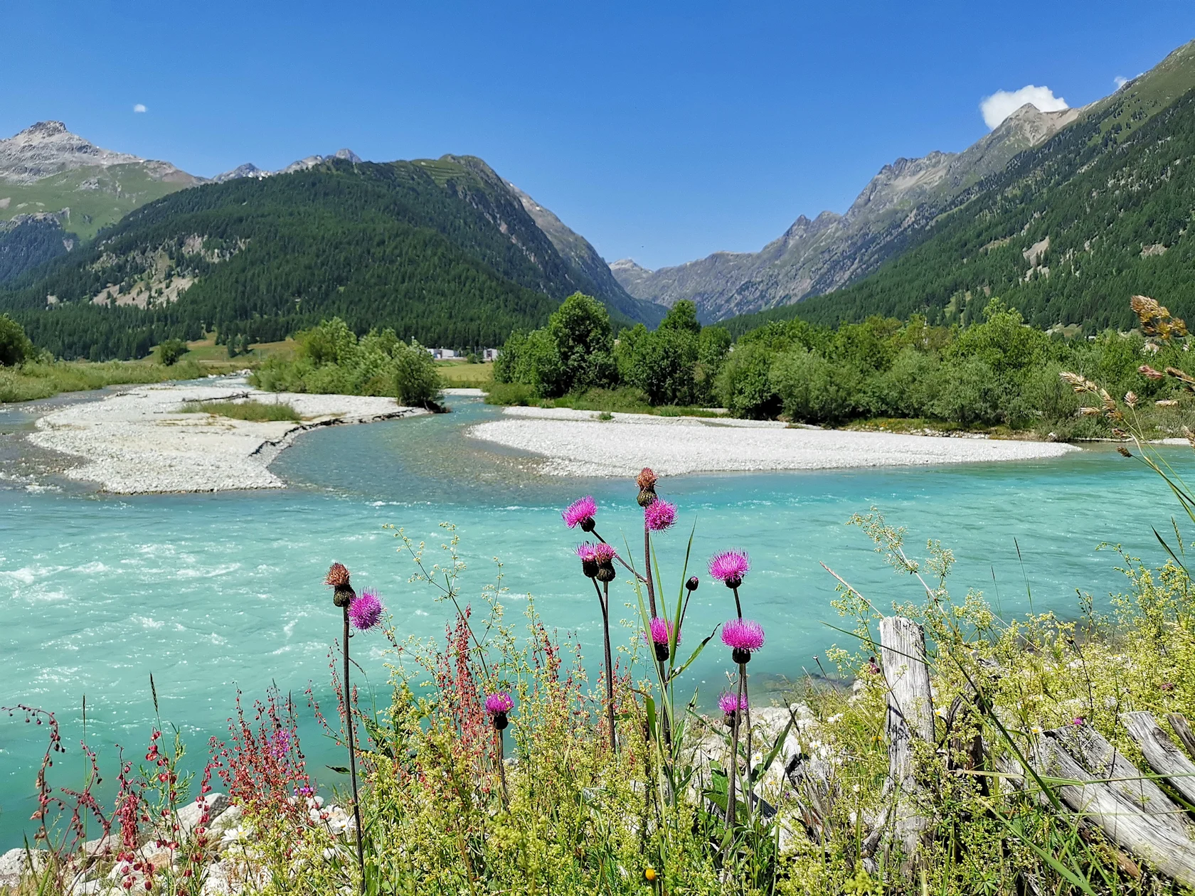 Hard to see, but easy to smell | Migros