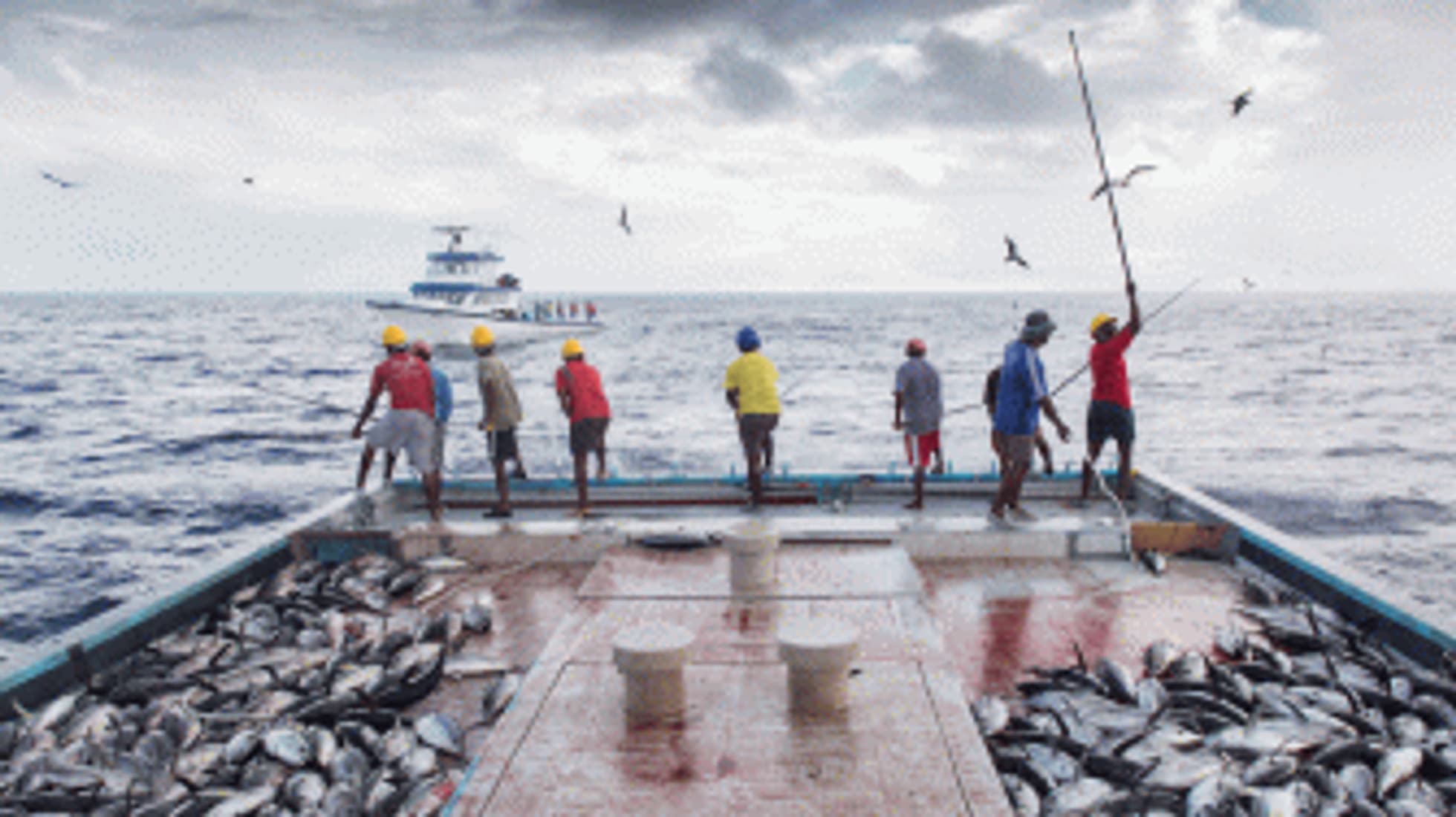 Fischversprechen eingelöst