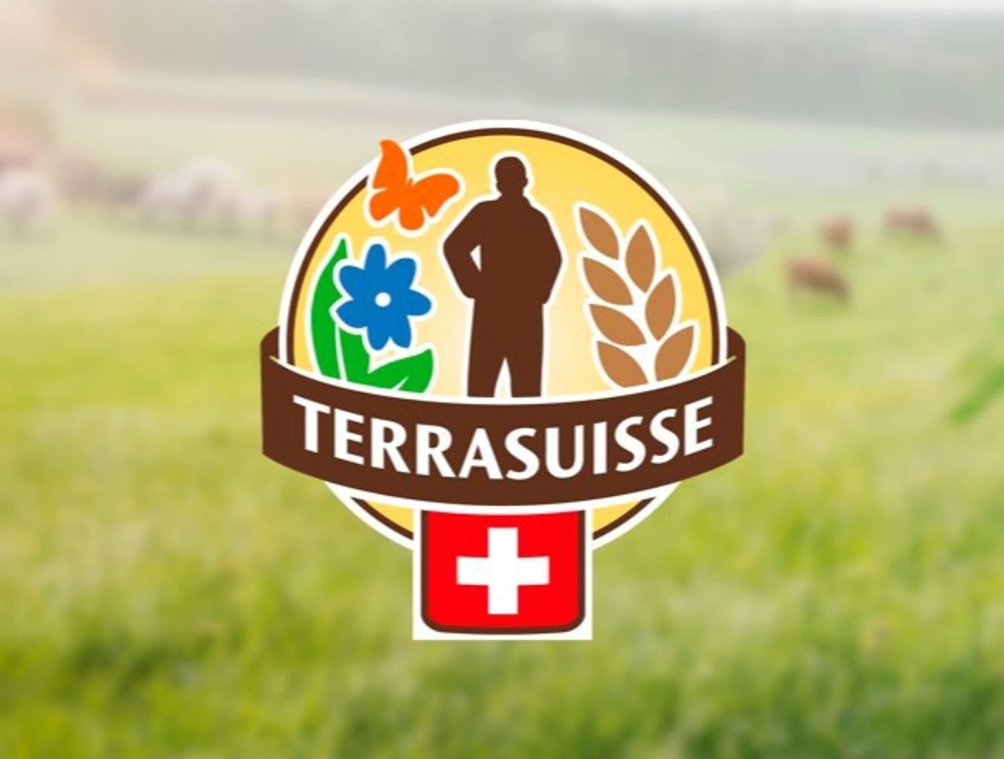 Logo Terra Suisse (ca. 2007)