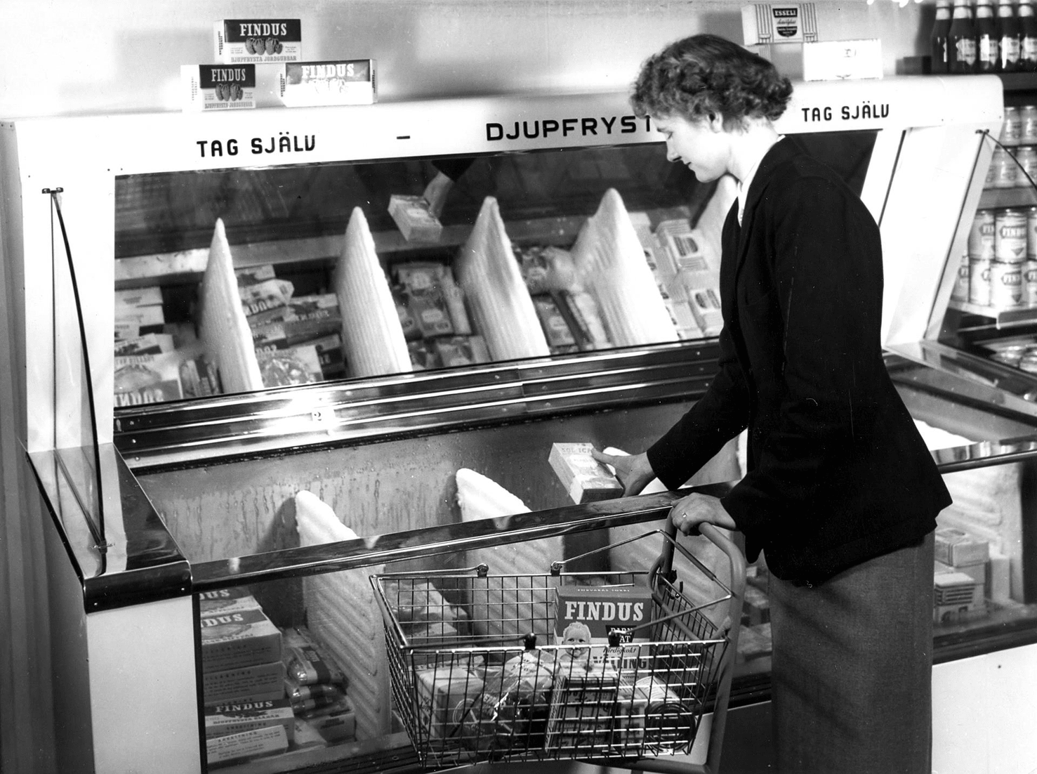 07_kuehlvitrine-frau-findus