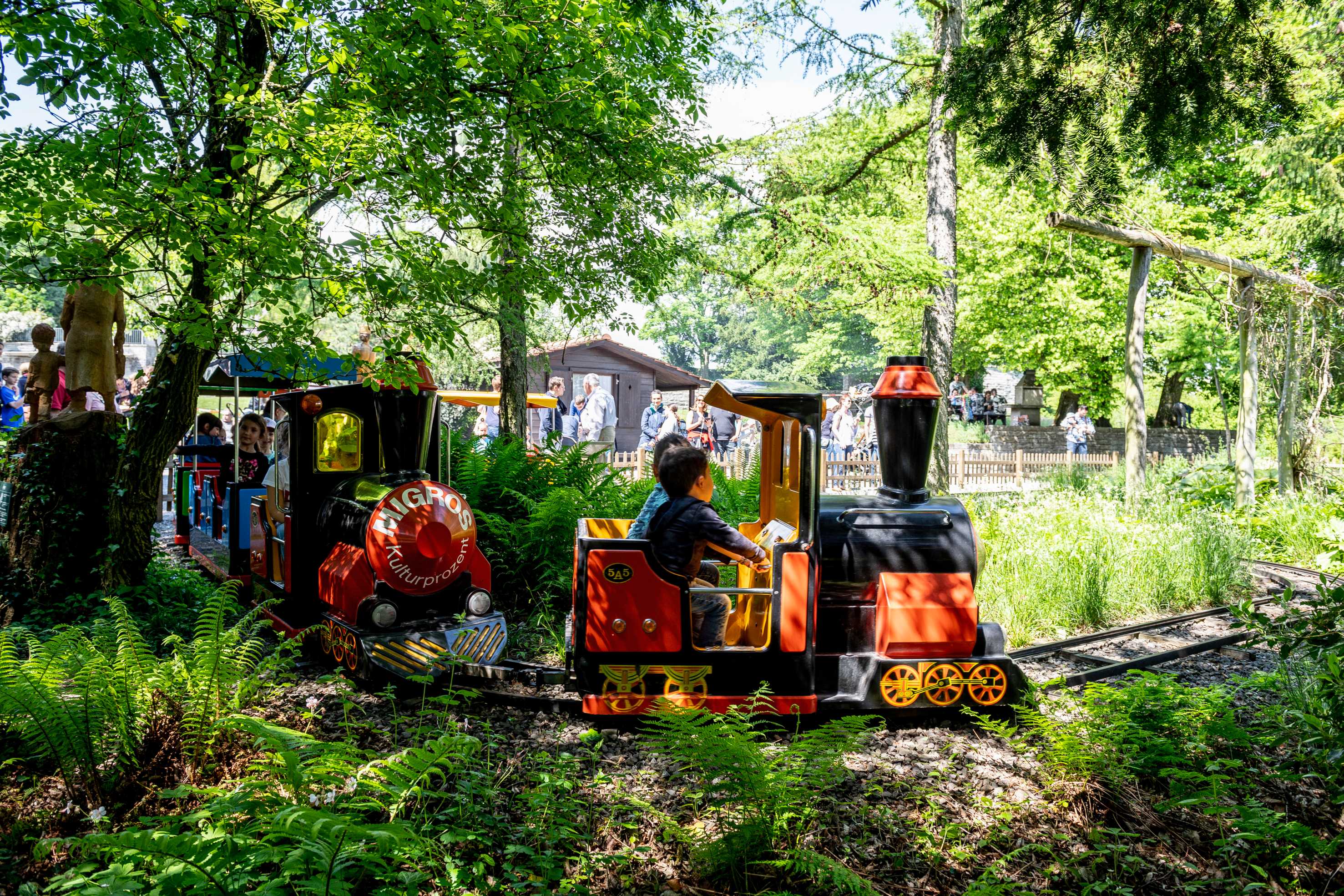 Children on a children's railway in a park