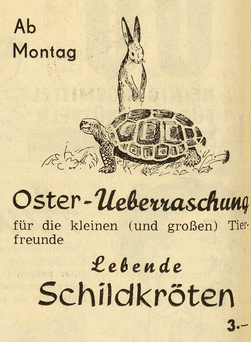 2_bb_19540409_schildkr_tenverkauf_