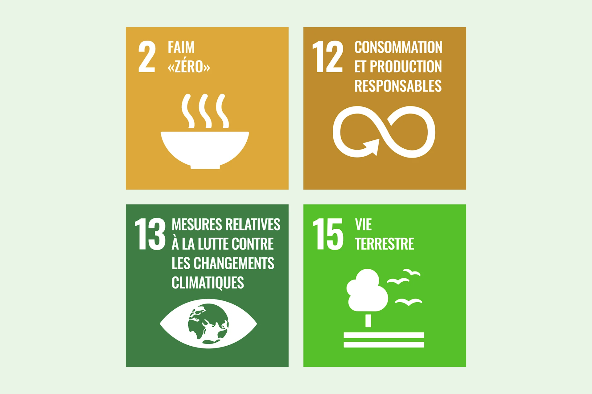 Infographie SDG 2, 12, 13, 15