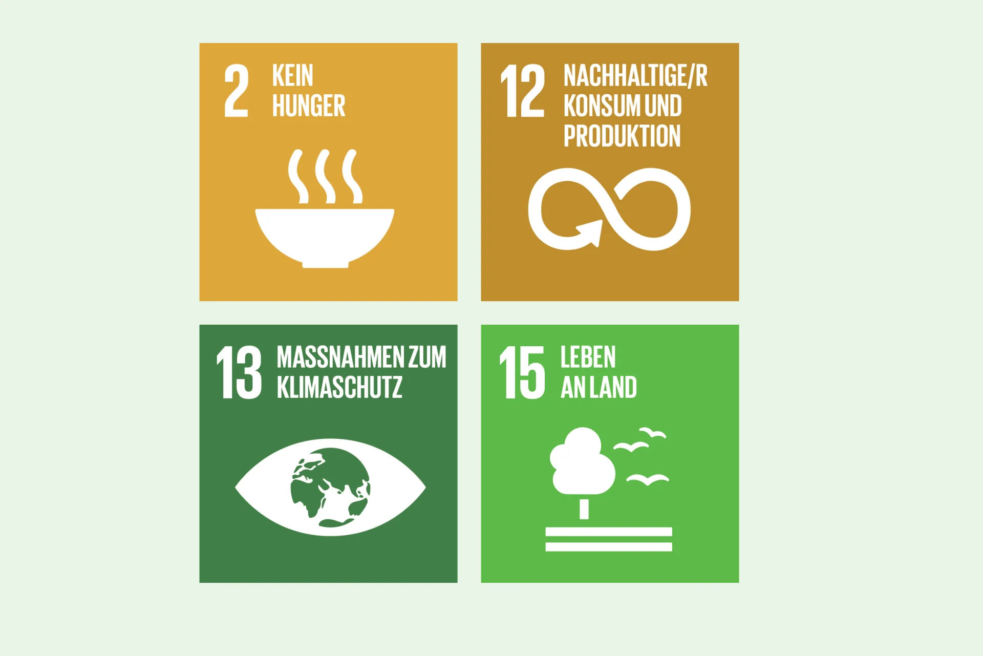 Infografik SDG 2, 12, 13, 15