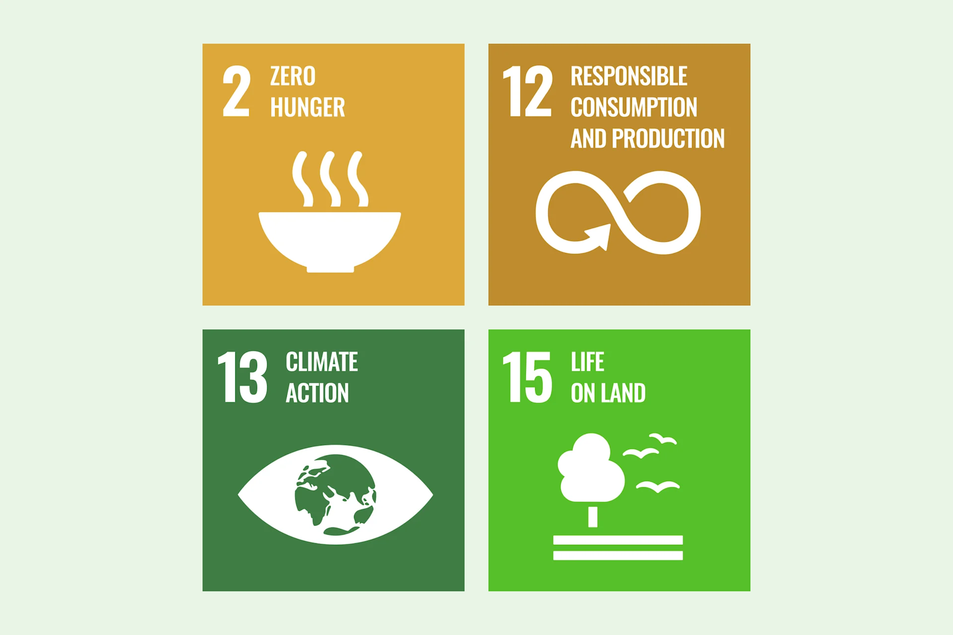 Infographic SDG 2, 12, 13, 15