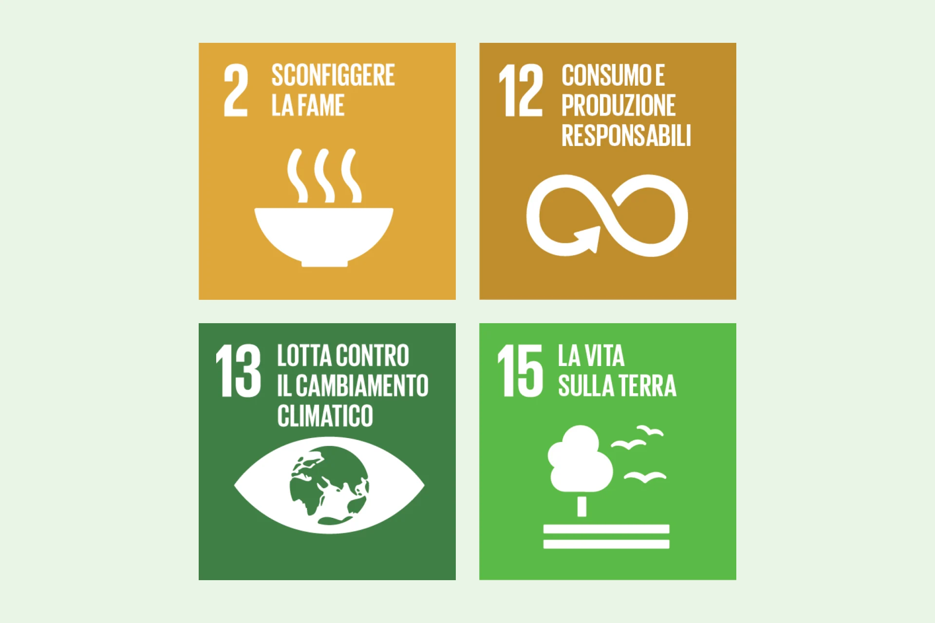 Infografica SDG 2, 12, 13, 15