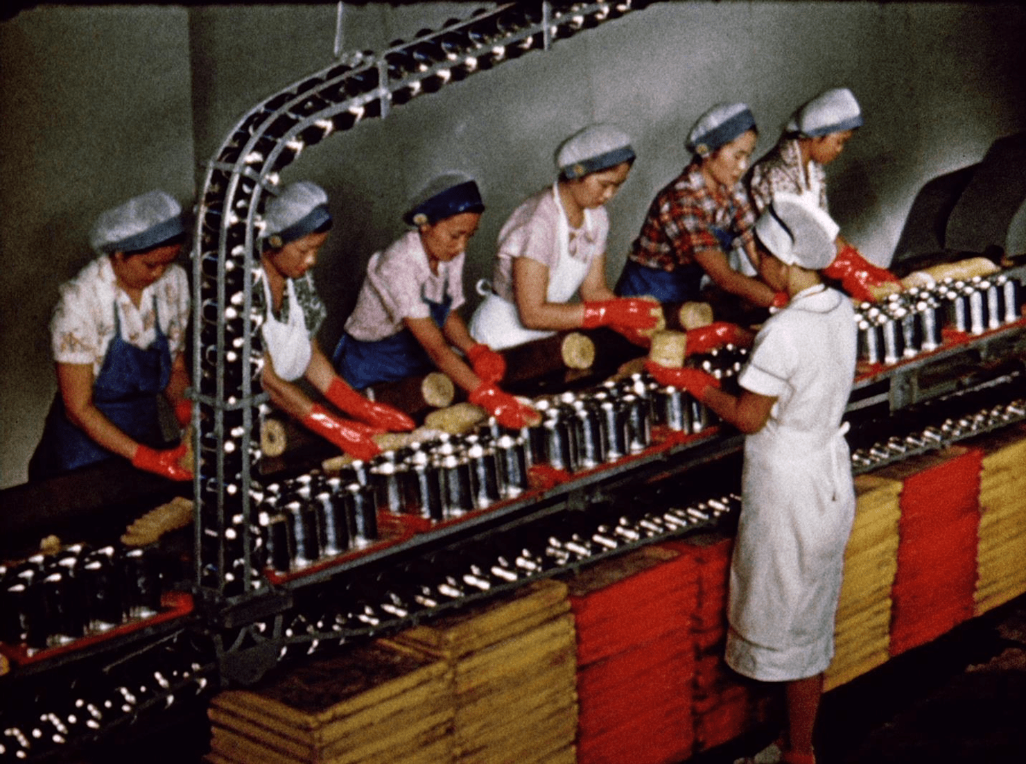 05_del-monte-arbeiterinnen