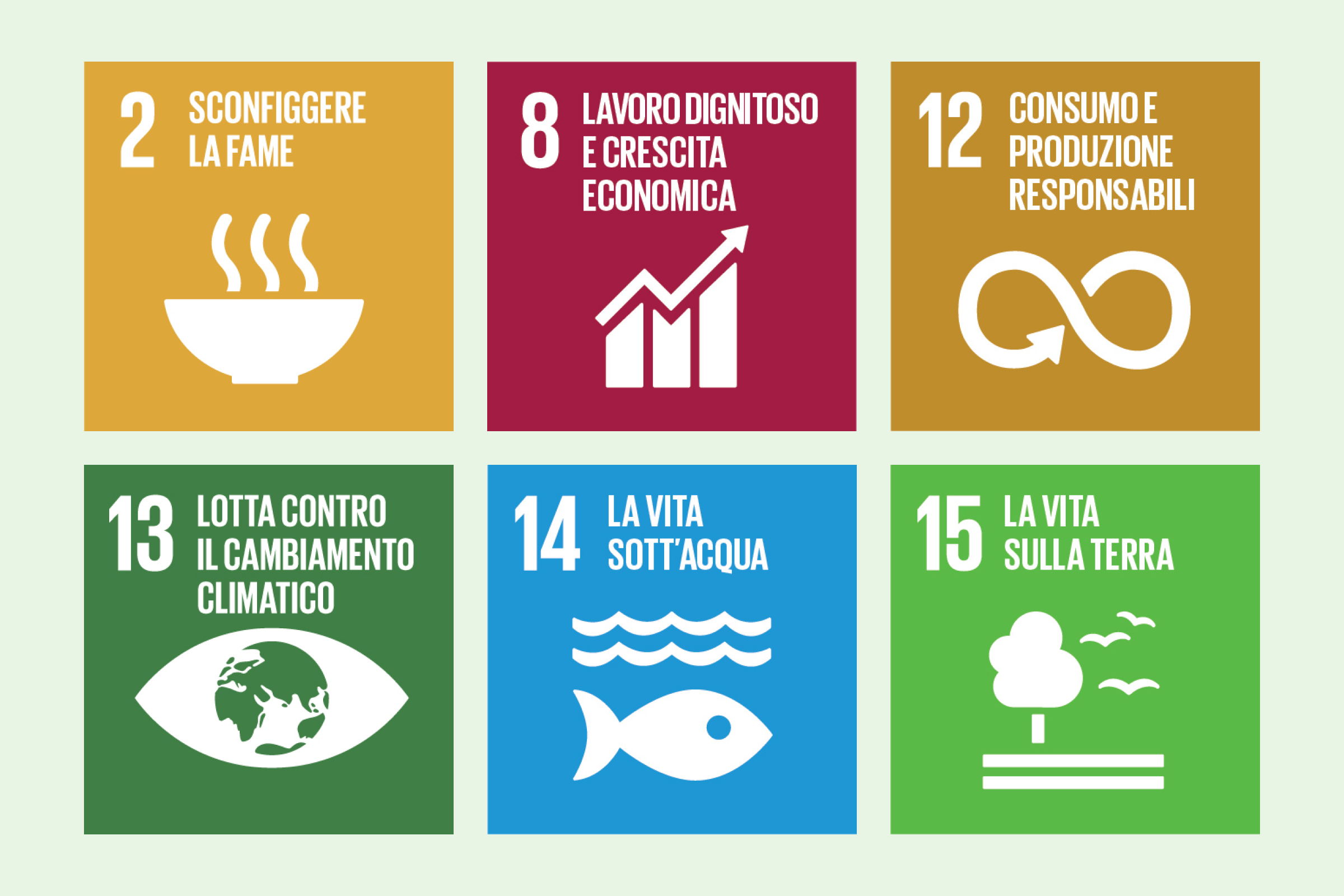Infografica SDG 2, 8, 12, 13, 14, 15 