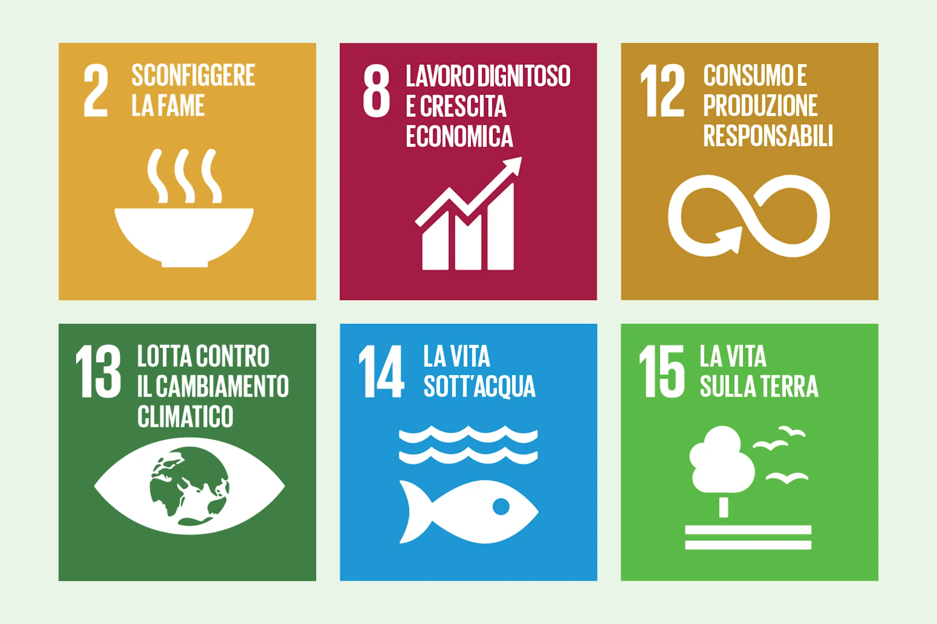 Infografica SDG 2, 8, 12, 13, 14, 15