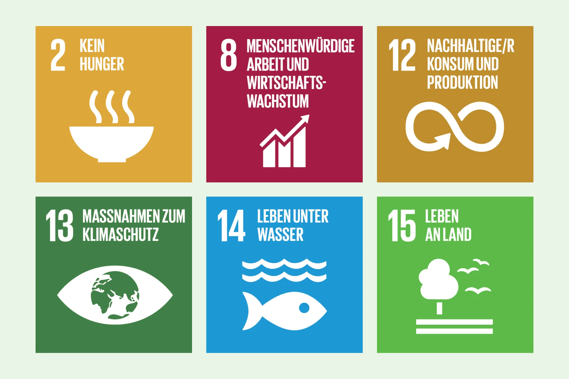 Infografik SDG 2, 8, 12, 13, 14, 15 