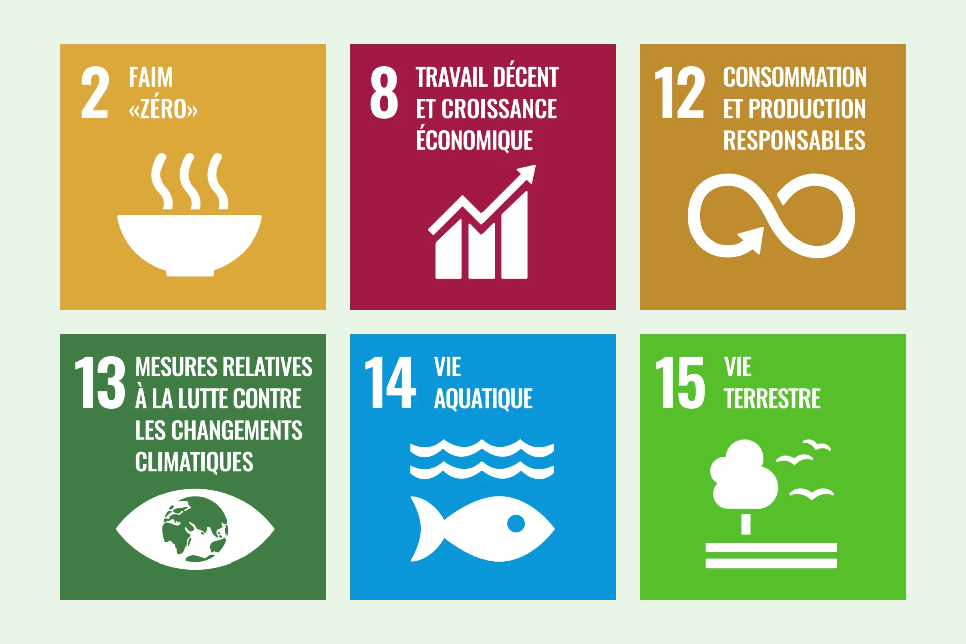 Infographie SDG 2, 8, 12, 13, 14, 15 