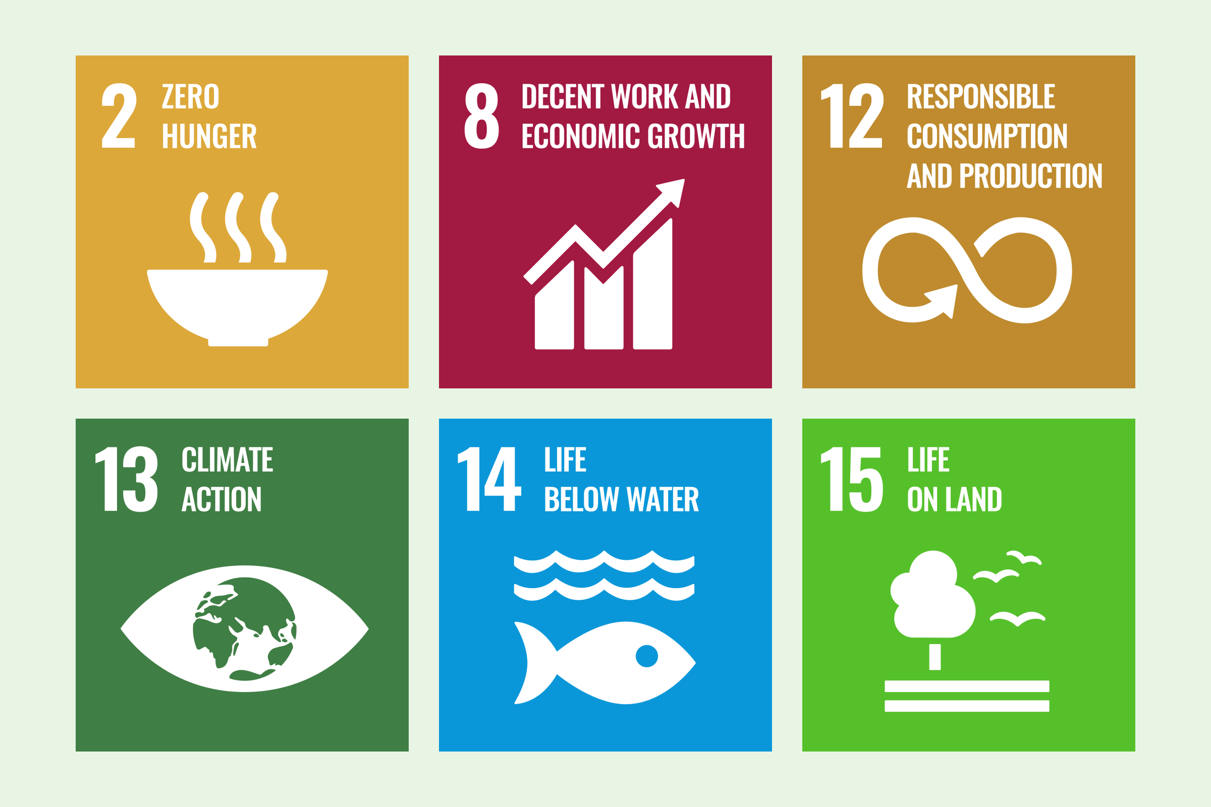 Infographic SDG 2, 8, 12, 13, 14, 15 