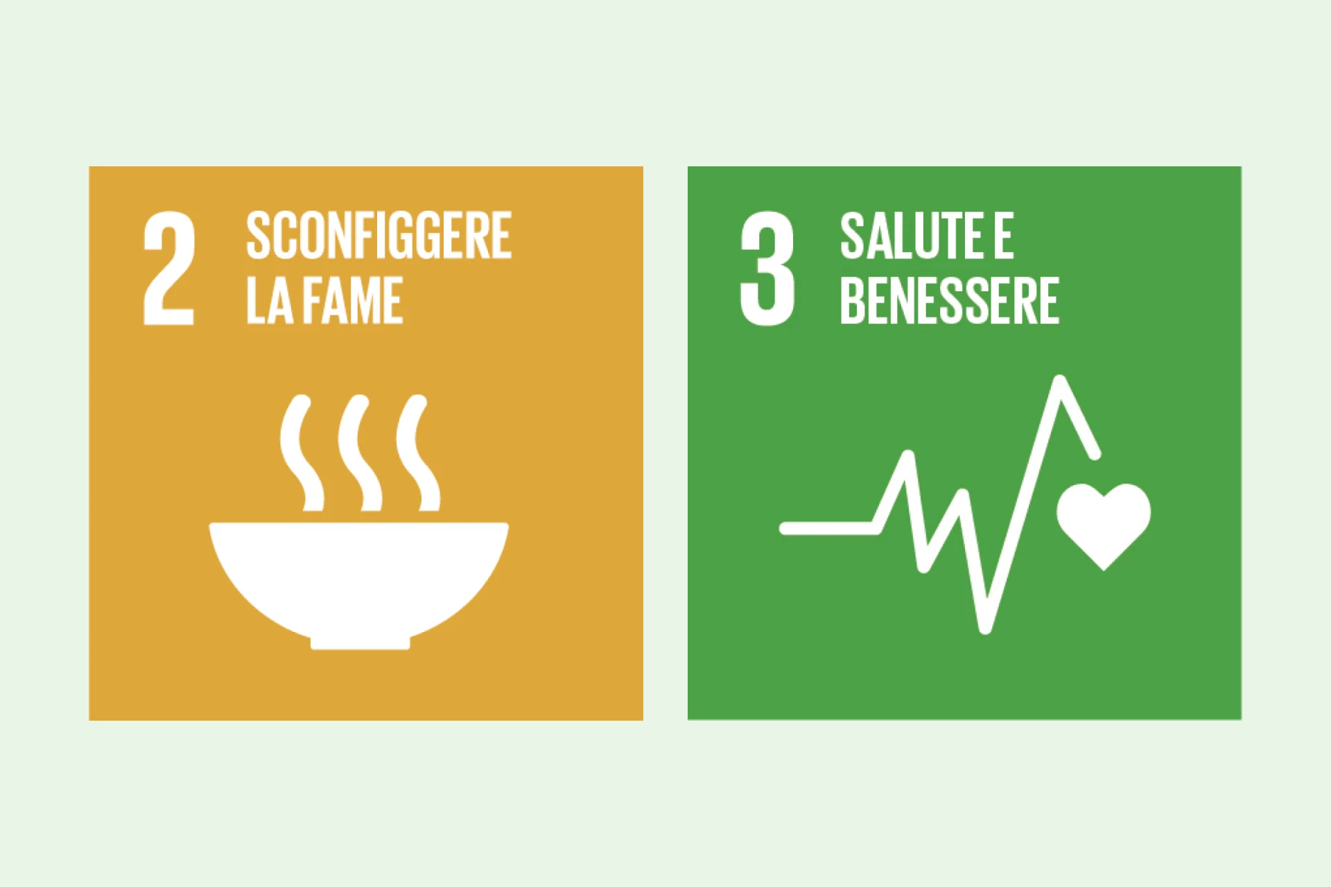 Infografica SDG 2, 3