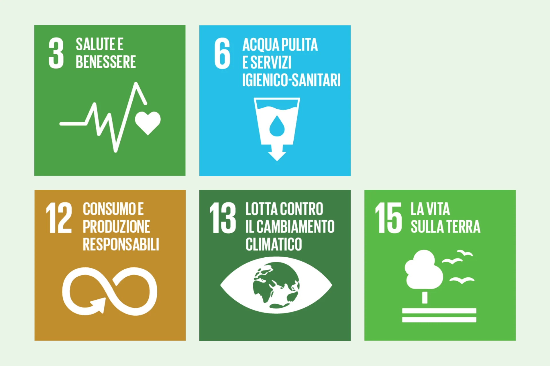 Infografica SDG 3, 6, 12, 13, 15