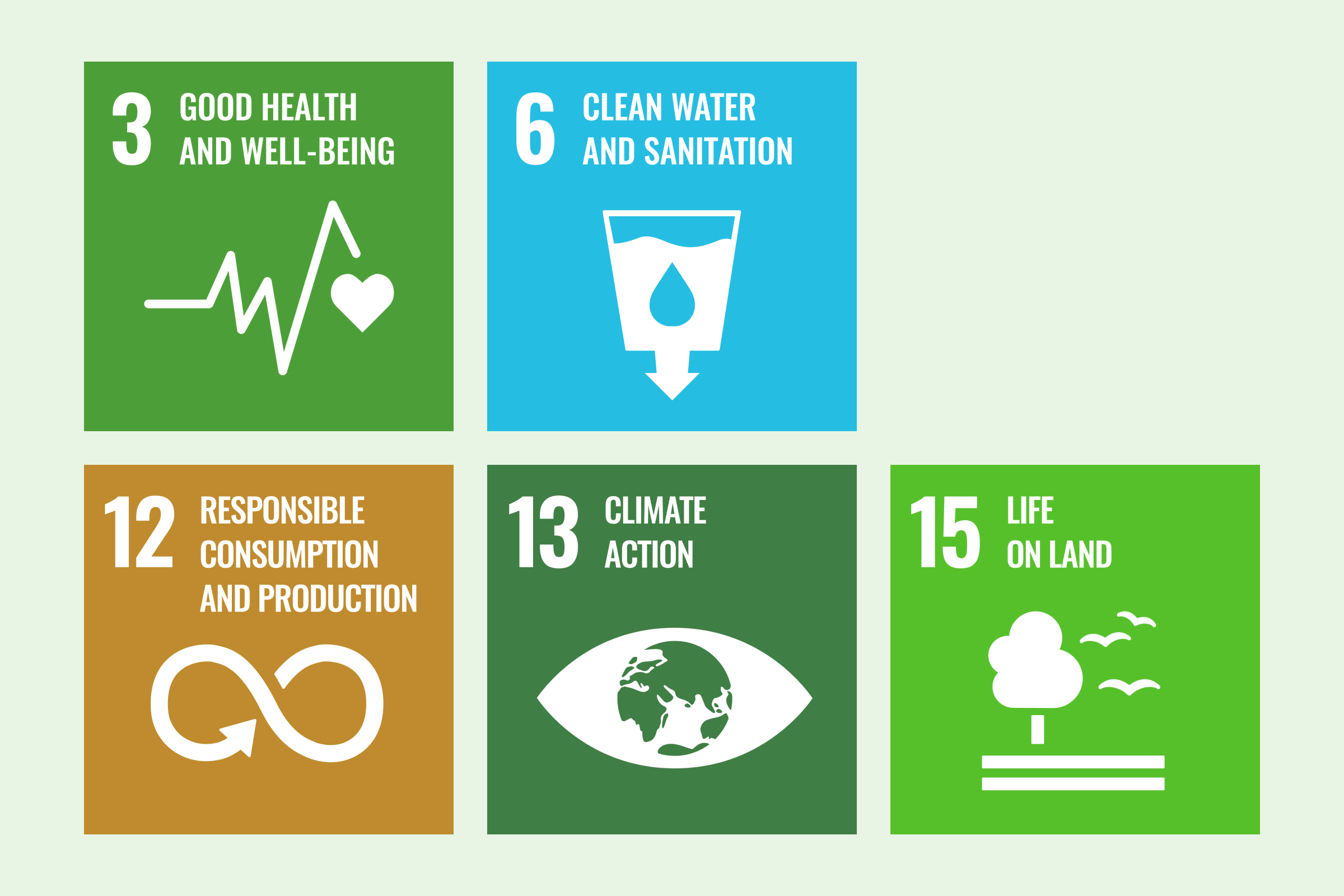 Infographic SDG 3, 6, 12, 13, 15