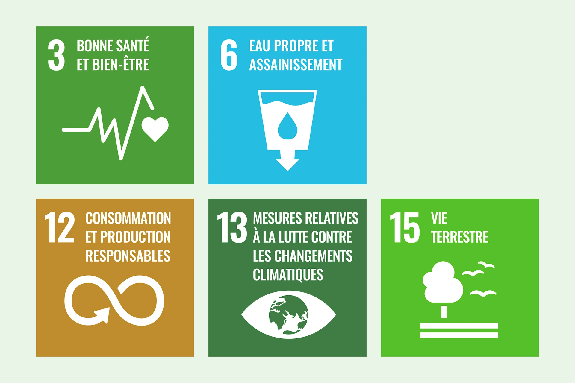 Infographie SDG 3, 6, 12, 13, 15