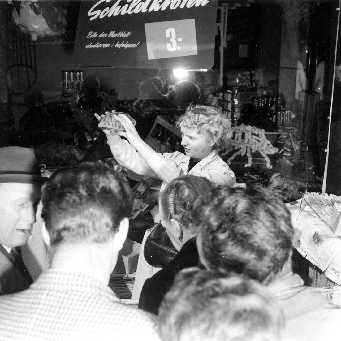 4-Schildkr_tenverkauf-Preisschild