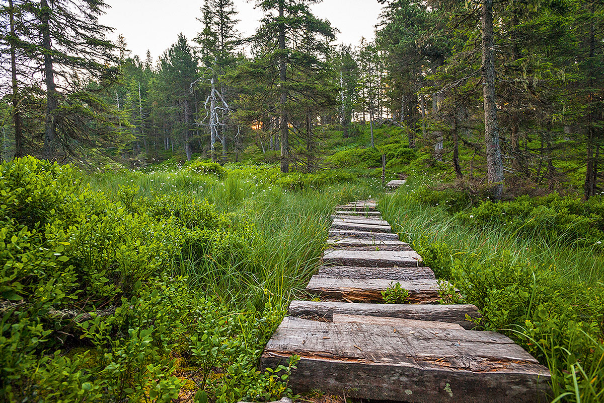 Jänzi-Trail Glaubenberg: Das Sommer- und Wintererlebnis