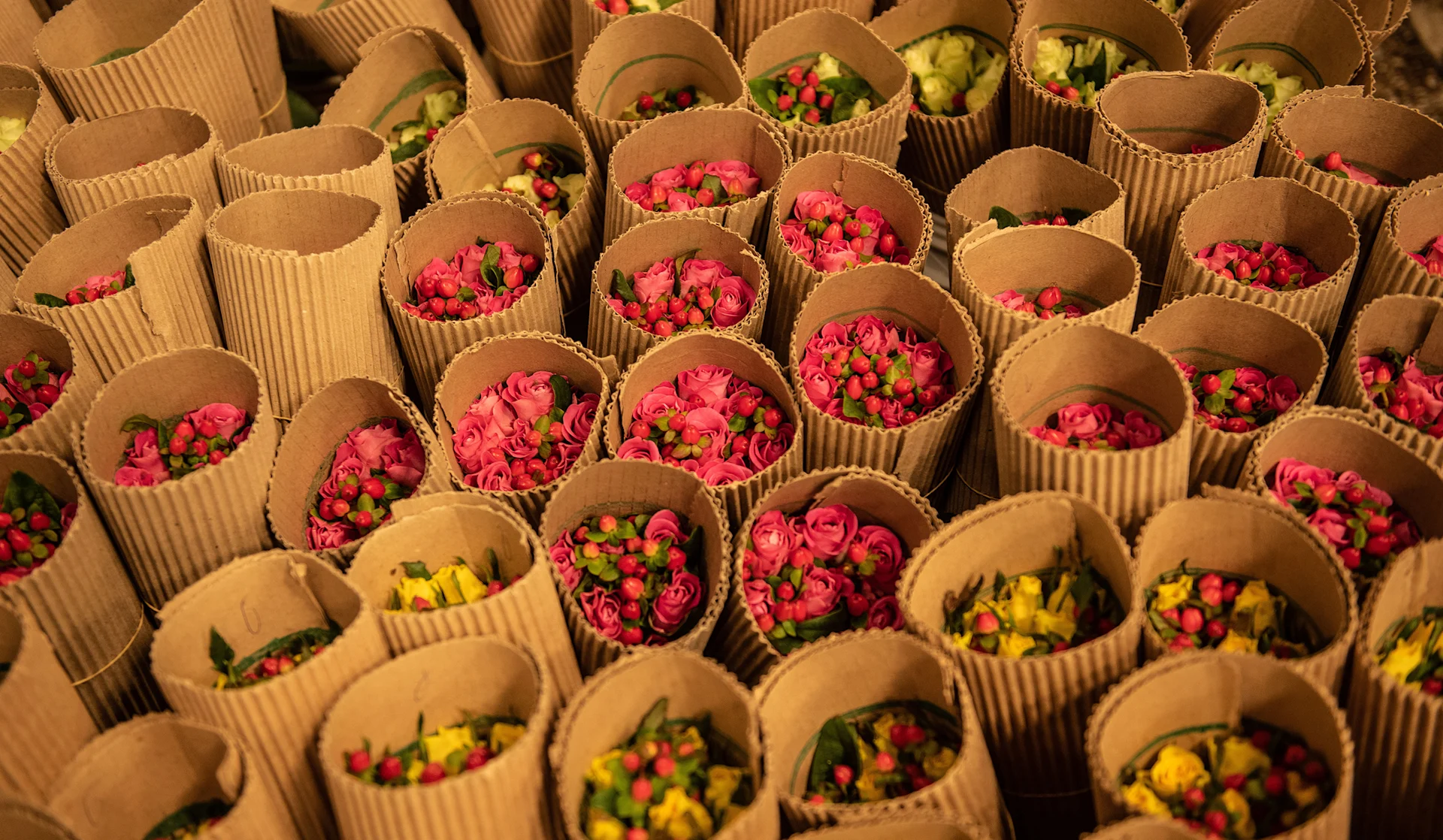 Roses enveloppées dans du carton.