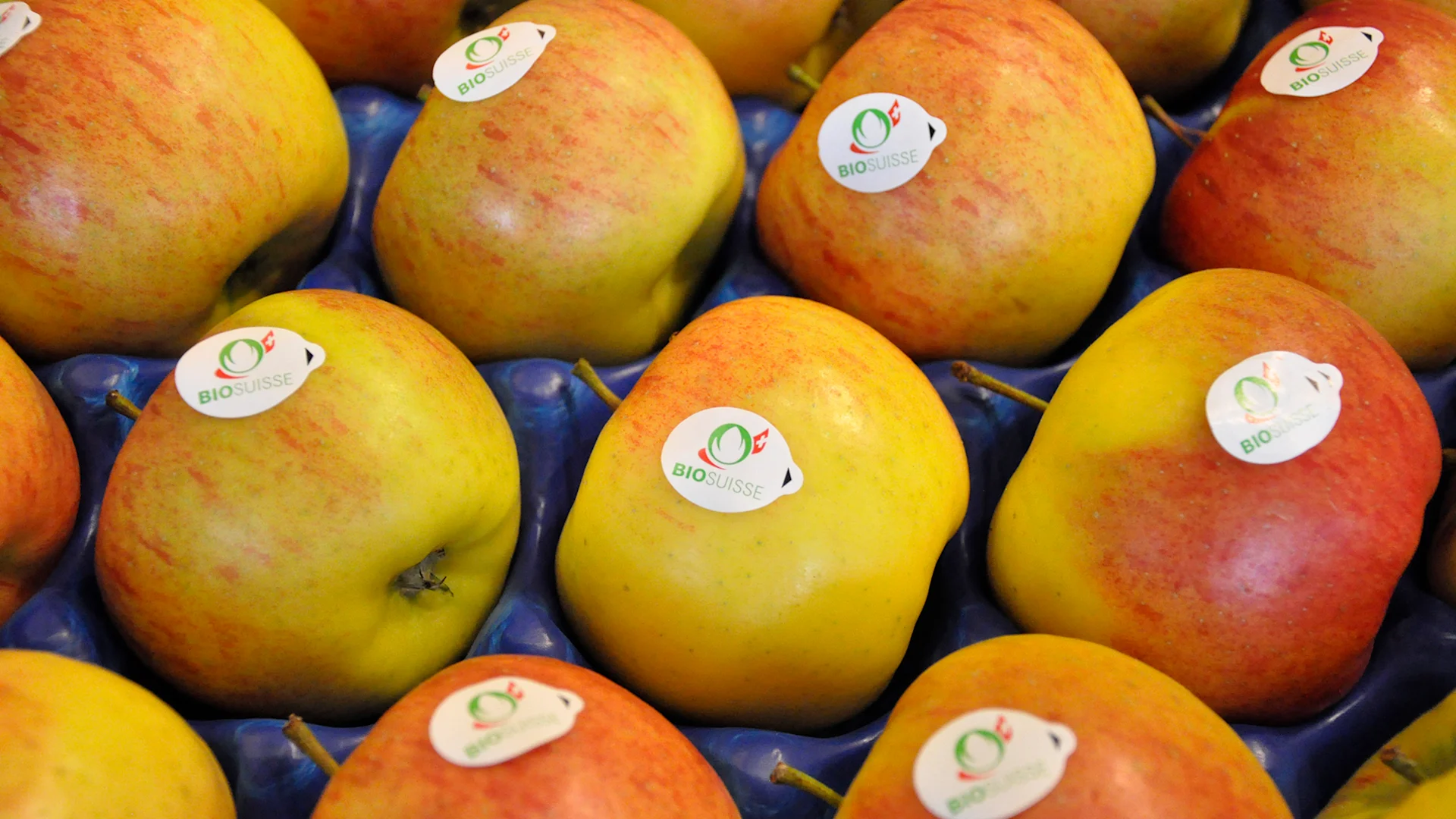 Le Bourgeon de Bio Suisse fait partie des normes les plus strictes au monde. La Migros adopte ce label.