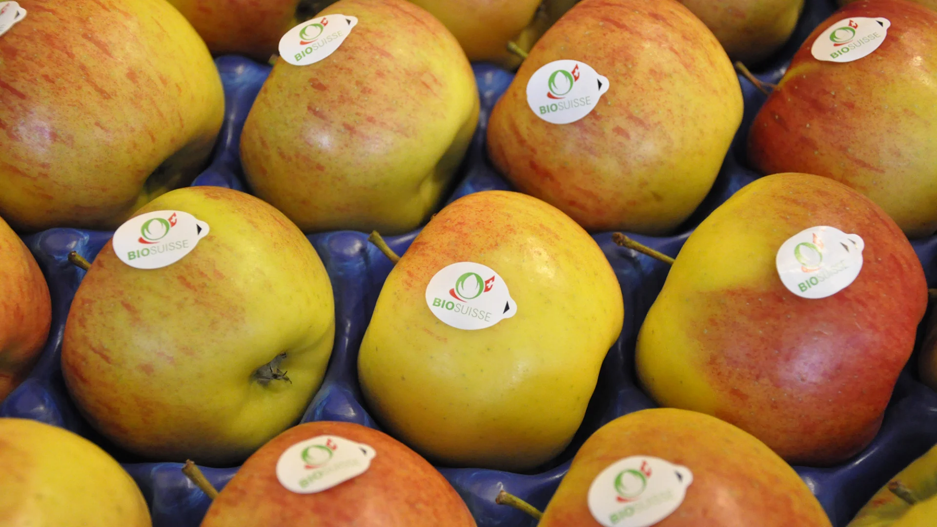 Äpfel mit dem Knospe-Label von Bio Suisse, das zu den weltweit höchsten Bio-Standards gehört.