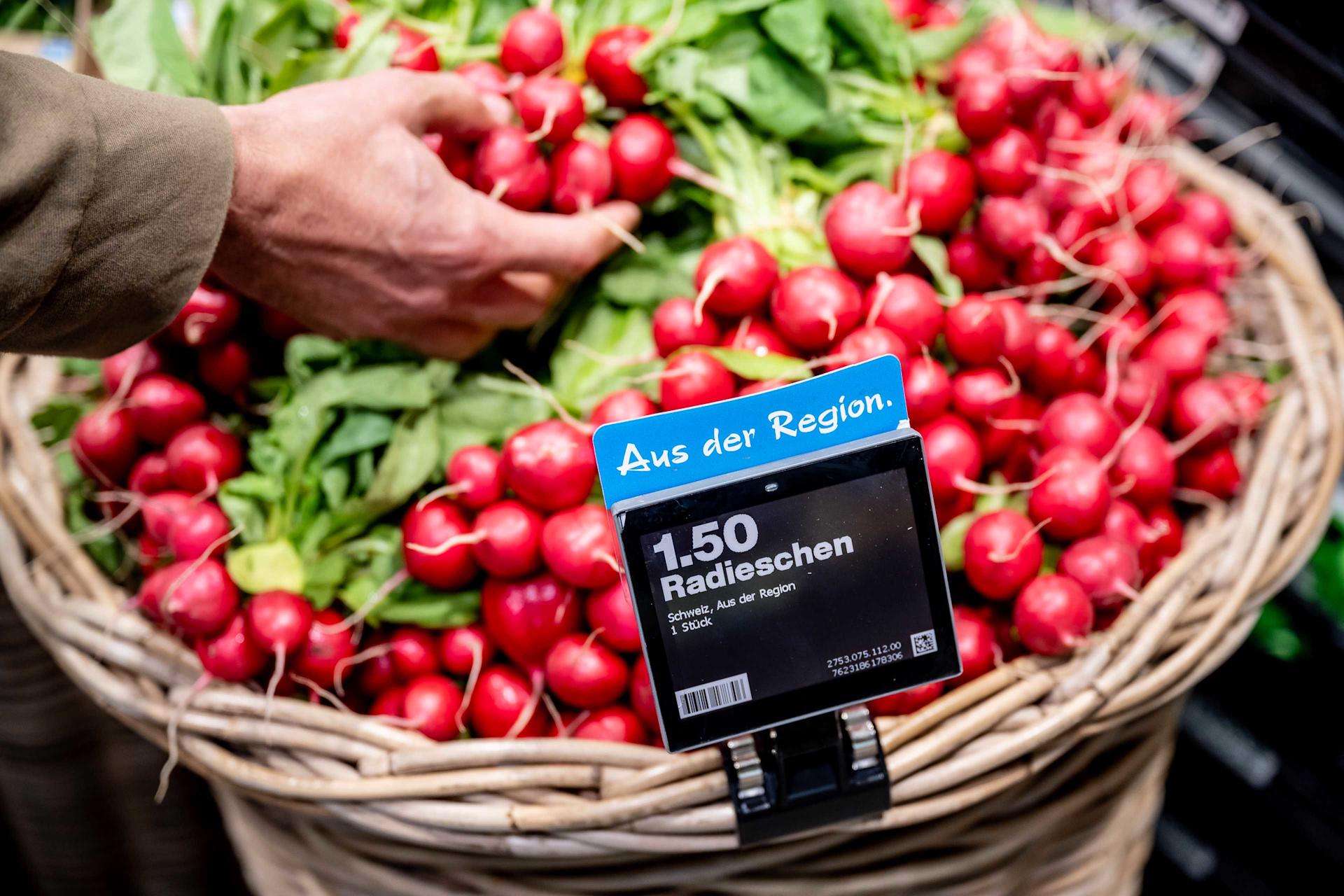 A basket labelled "From the region" is full of radishes. A hand reaches in and takes out a handful.