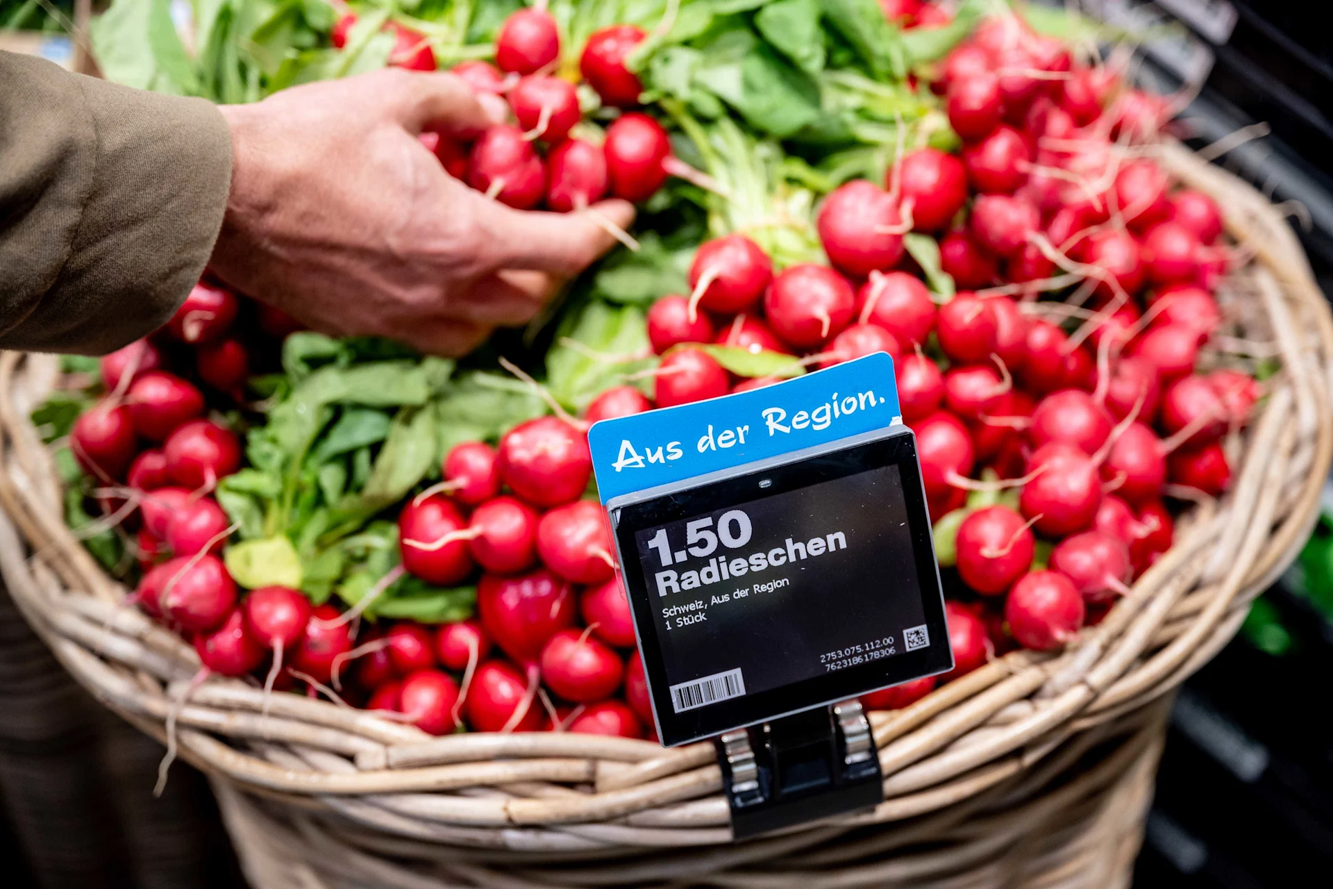 A basket labelled "From the region" is full of radishes. A hand reaches in and takes out a handful.