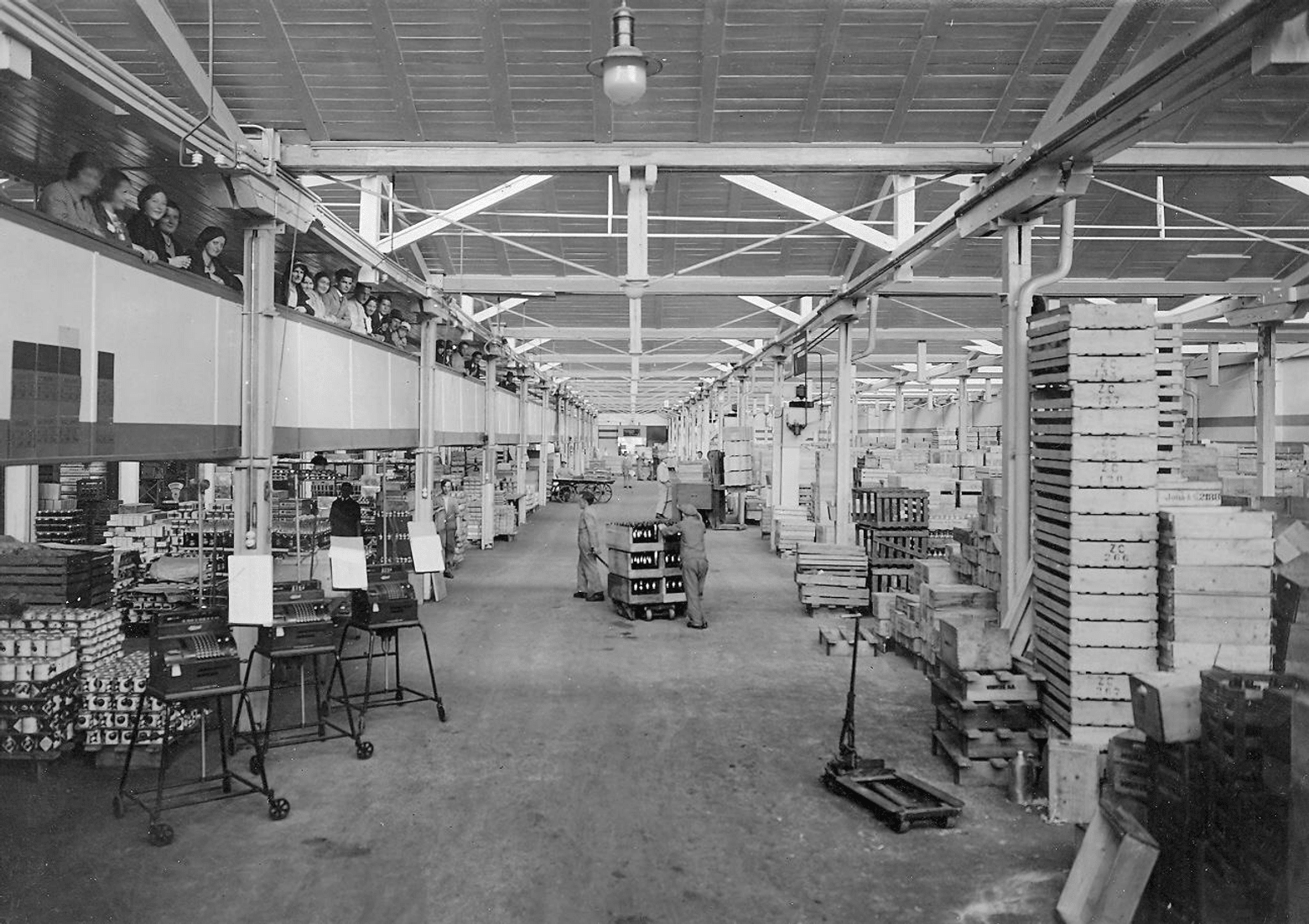 01_Scannen0301-schaugang