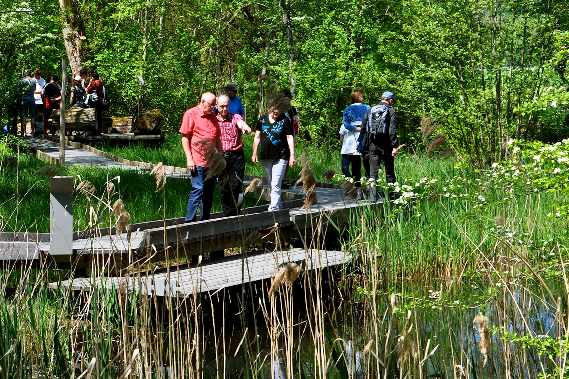 Les visiteurs parcourent le sentier d'aventure Thurauen