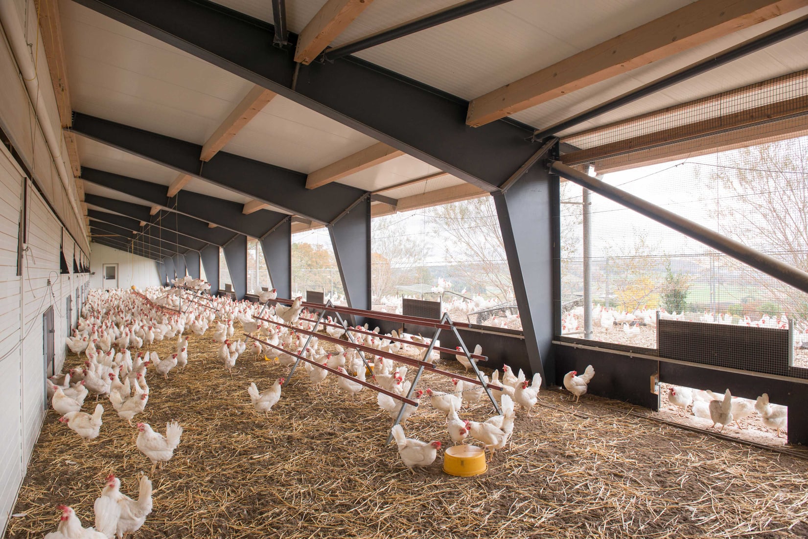 Spitzenreiterin beim Tierwohl