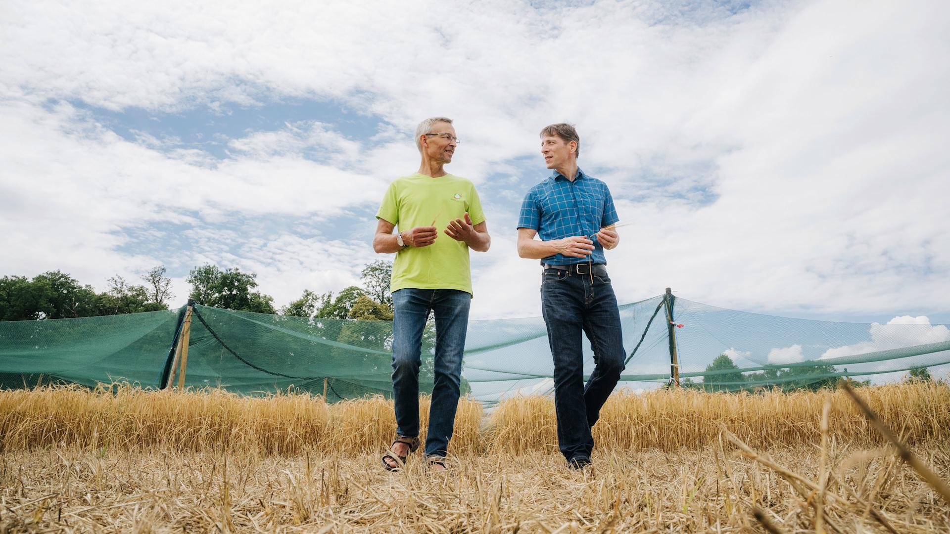 Urs Brändli and Roland Peter discuss together on Agroscope's test field.