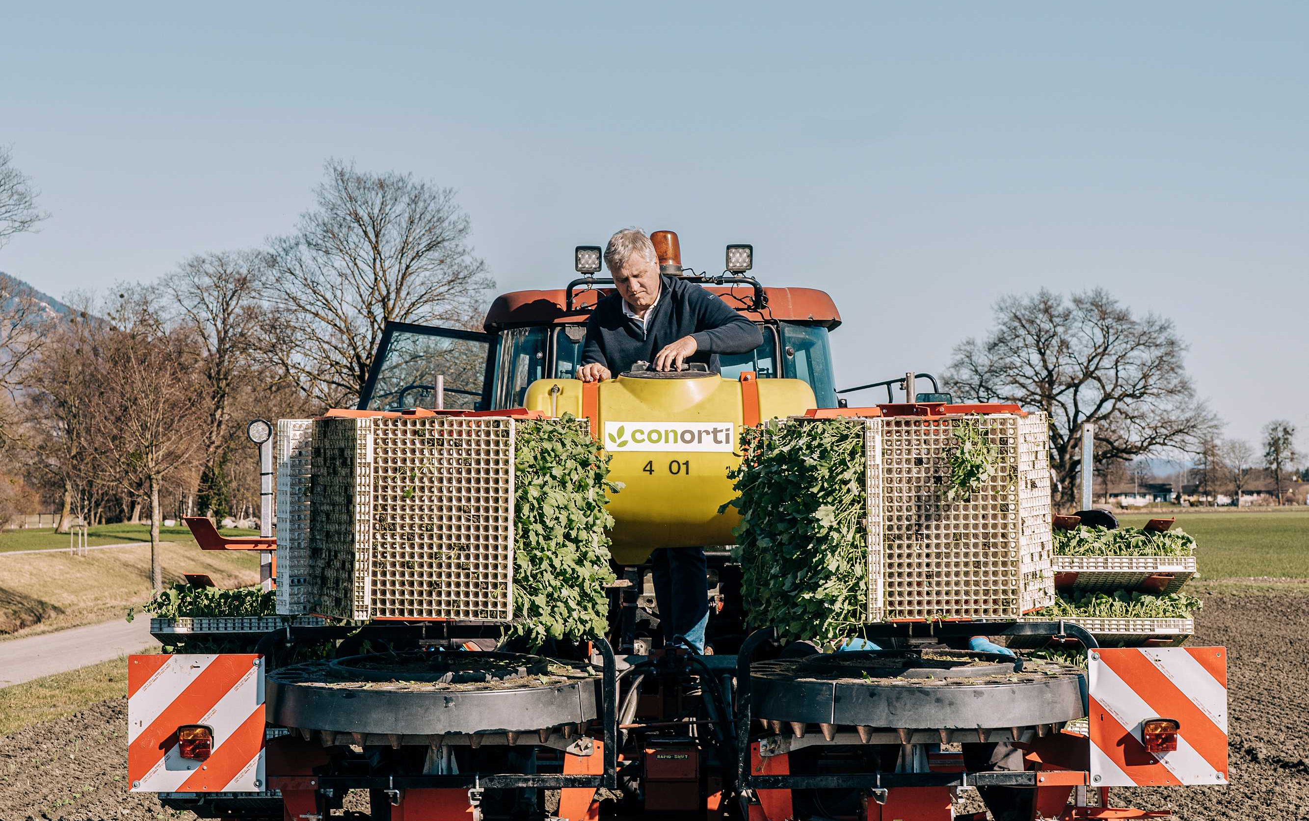 Farmer ﻿Beni Dürr plants the seedlings.