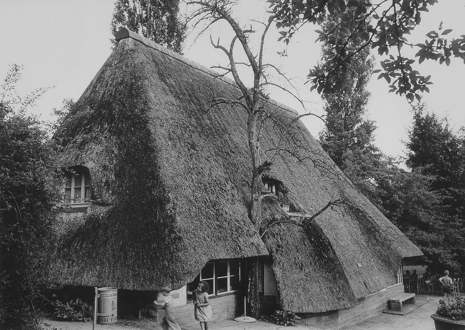 MGB_Dok_Fo_054622.jp2