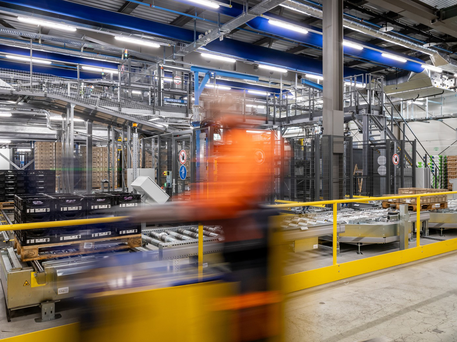 Insieme läuft nach Plan