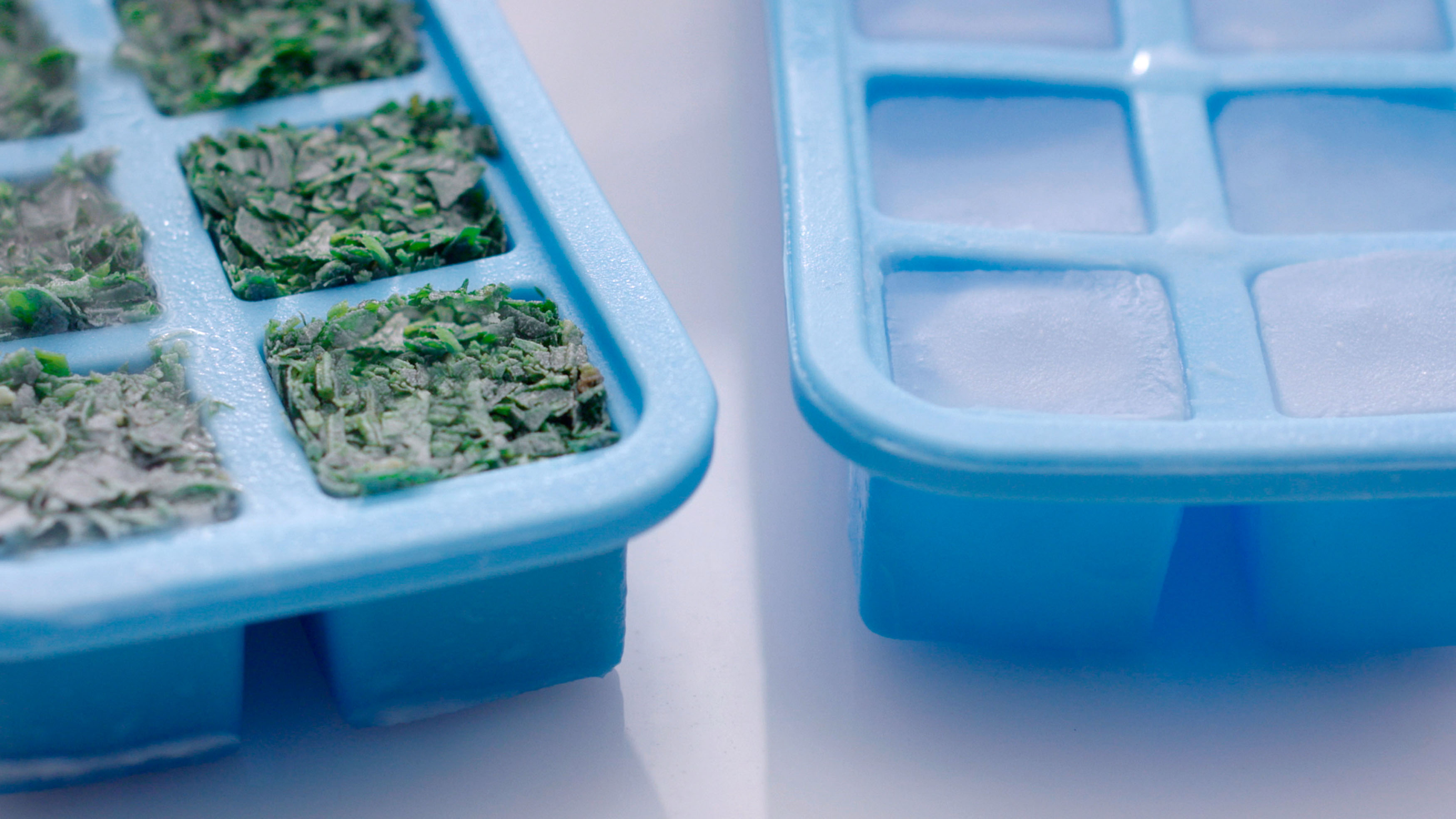 Tiefgekühlte Kräuter in einem blauen Eiswürfelbehälter