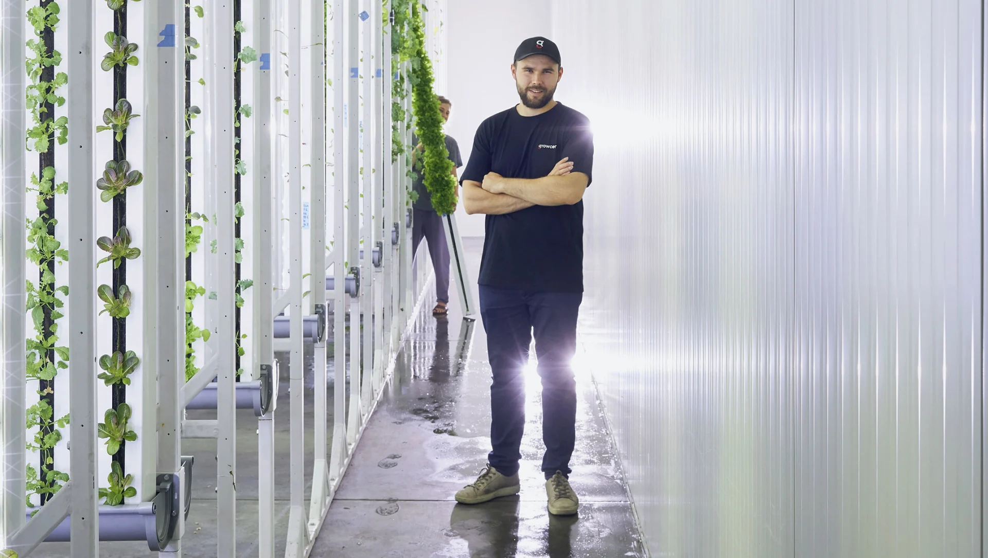 Gründer von Growcer, Marcel Florian steht inmitten der vertikal-wachsenden Pflanzen