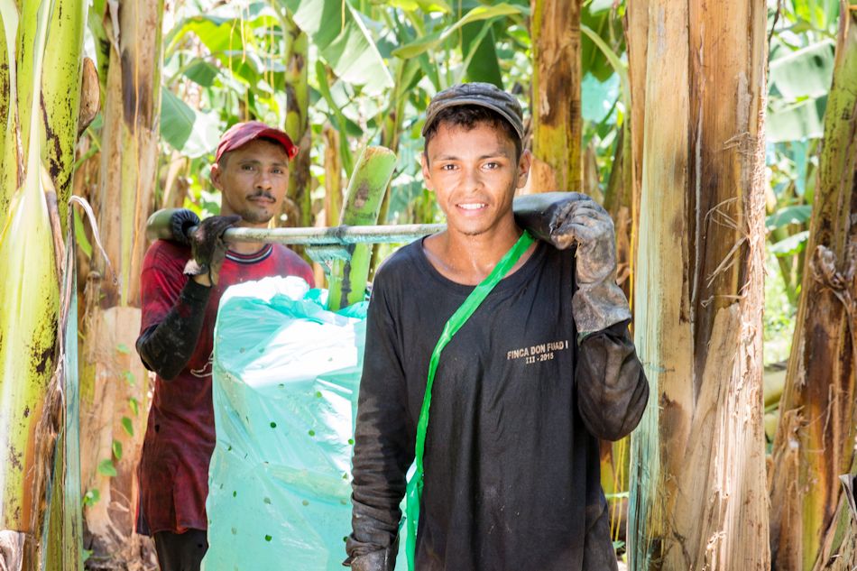 Don Fuad 1 Farm Kolumbien