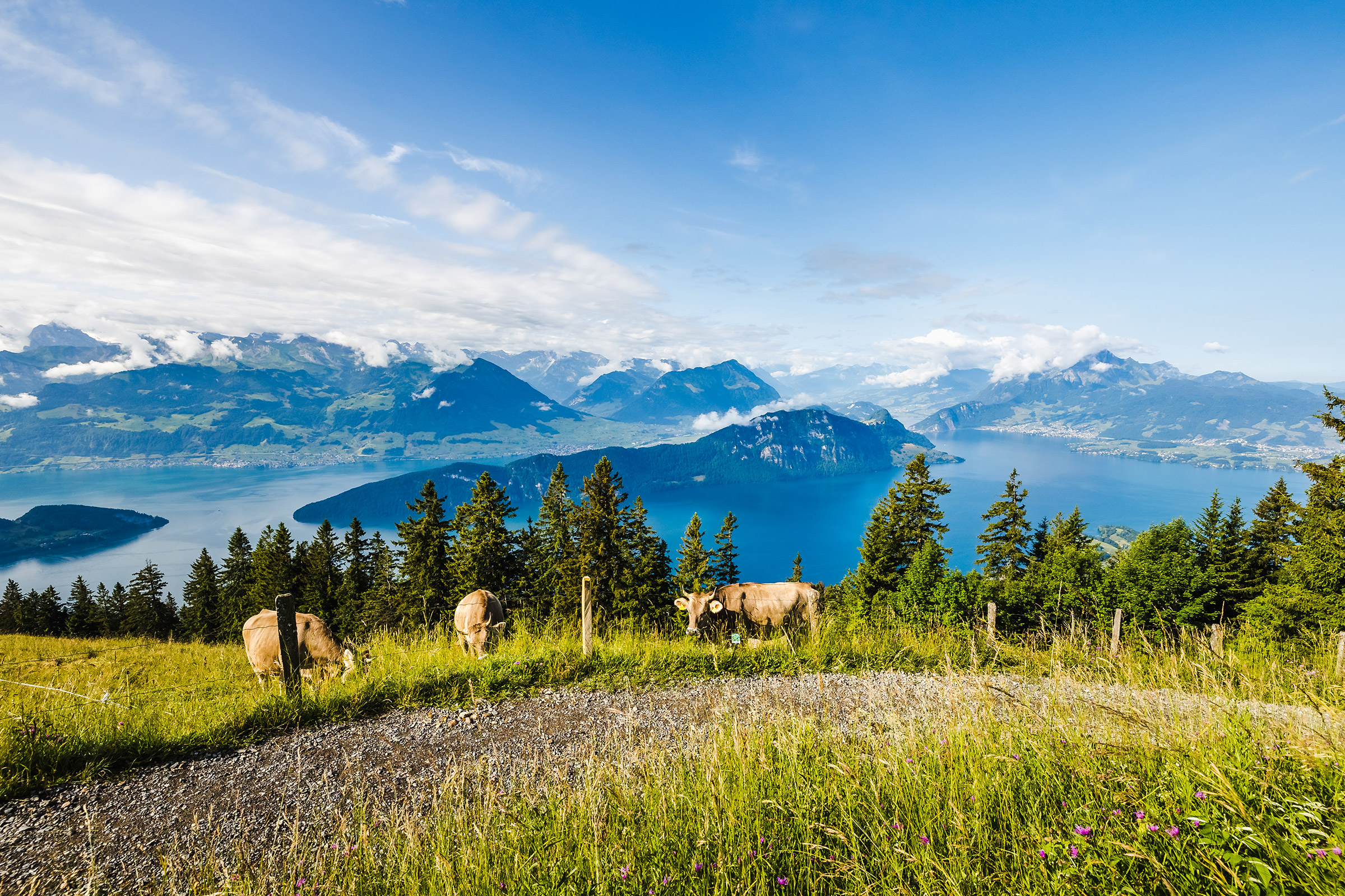 Rigi Panoramaweg