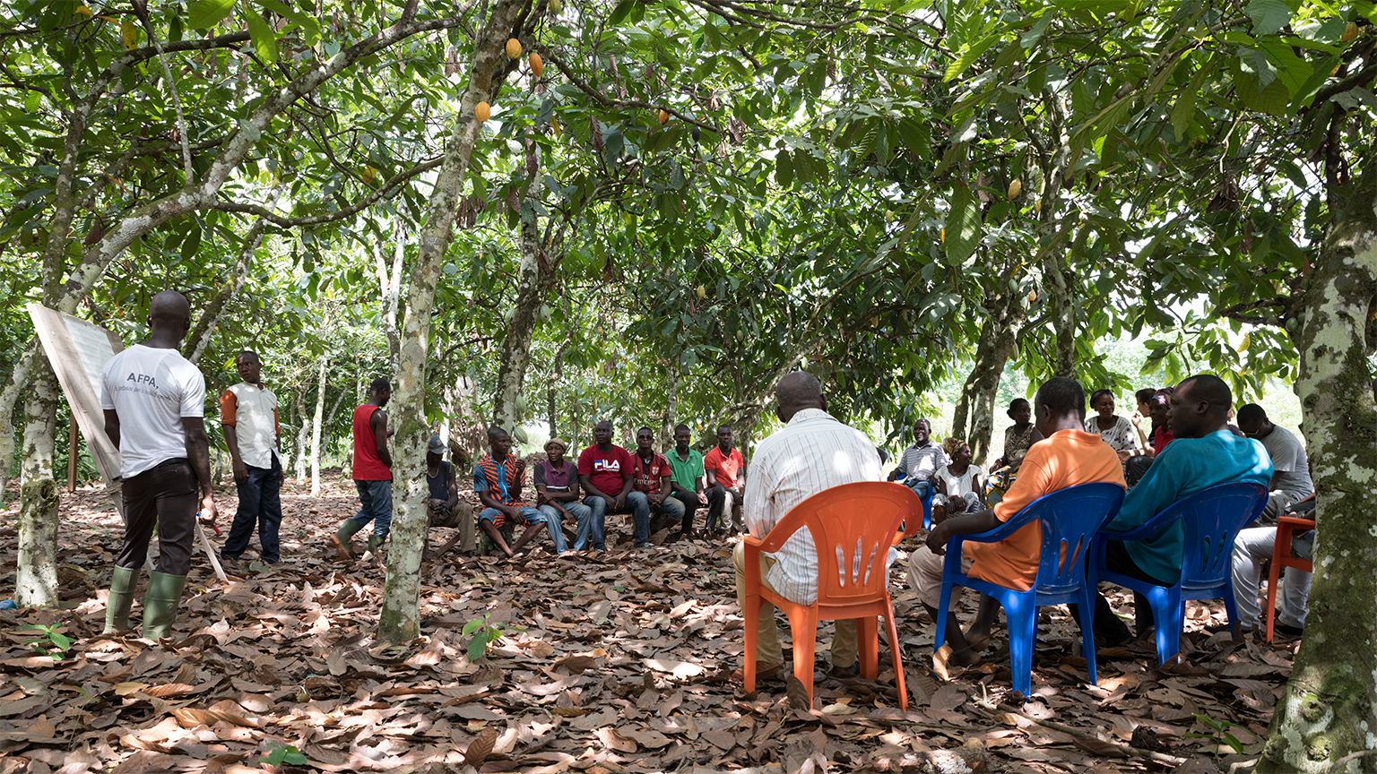 Coltivatori e coltivatrici di cacao seduti in cerchio ascoltano un insegnante.