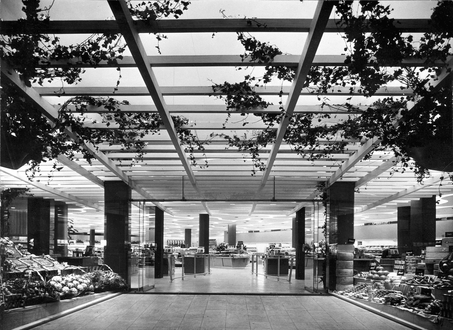 2-eingang-Scannen0005-LIMMATPLATZ