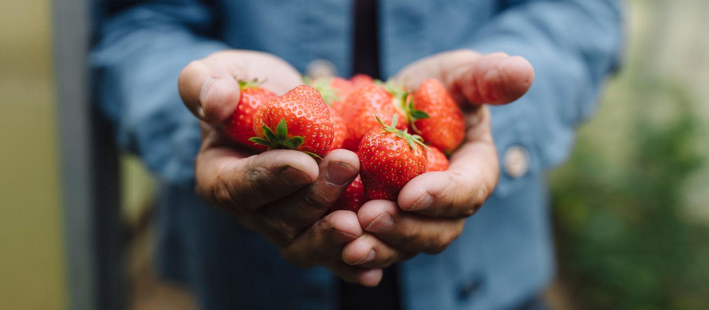 Mains avec des fraises