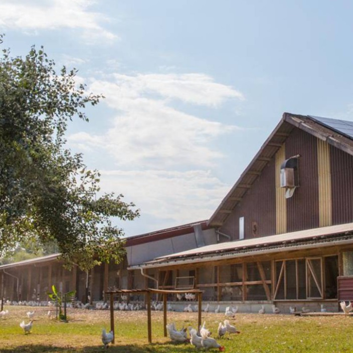 Ein Hühnerstall mit grossem Aussenbereich und Volieren.