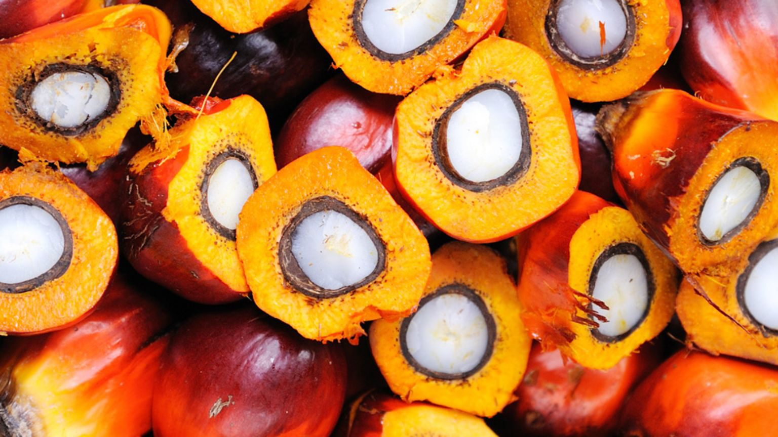 Fruits du palmier à huile avec pulpe et noyau