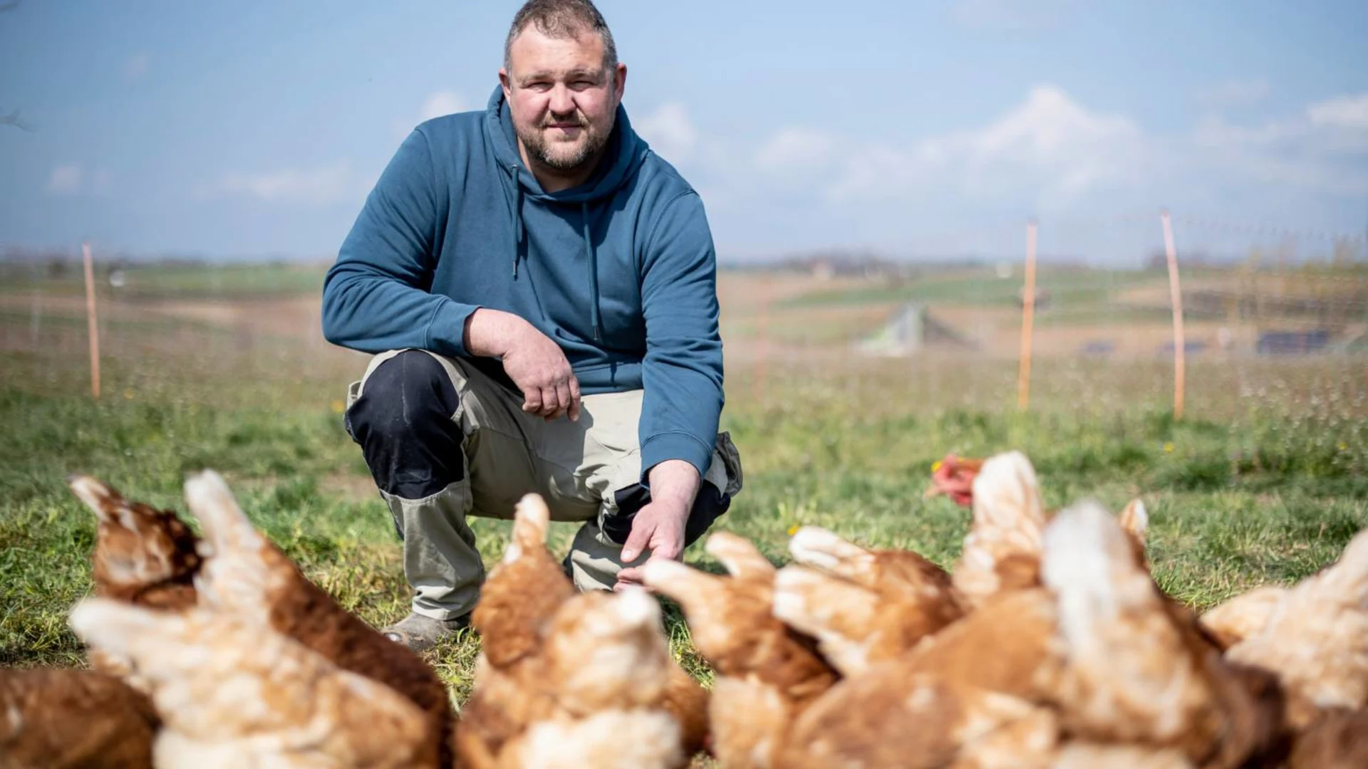 Anno Lutke-Schipholt sur le pré entre ses poulets